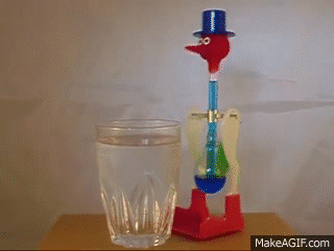 FickleJoyousArrowana-size_restricted.gif