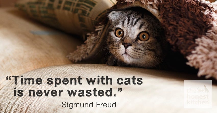 Freud.jpg