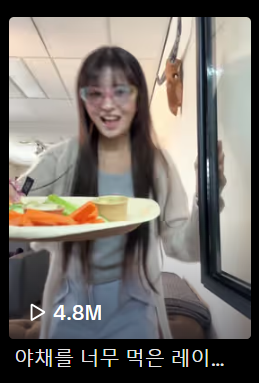 FridgeRei.png