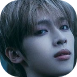 Gaon3.png