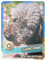 Garcons (anni07)3.png