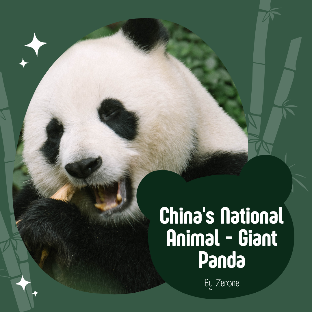 Giant Panda Animal Spotlight.png