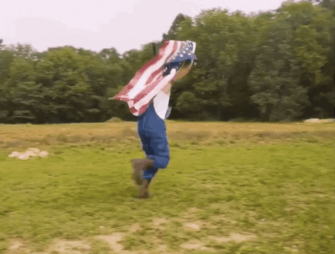 giphy (12).gif