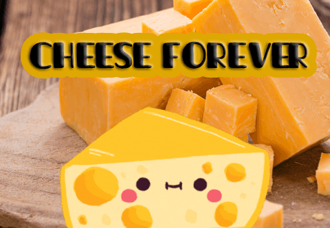 giphy (2) (1).gif