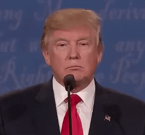 giphy (28).gif