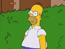giphy (31).gif