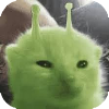 glorp cat.png