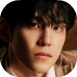 gluonpil5.png