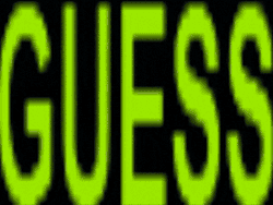 guess.gif