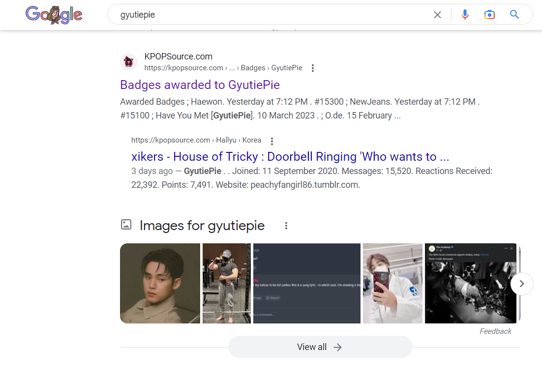 gyutiepie2.png