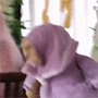 hijabi_cat.gif