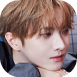i1.png