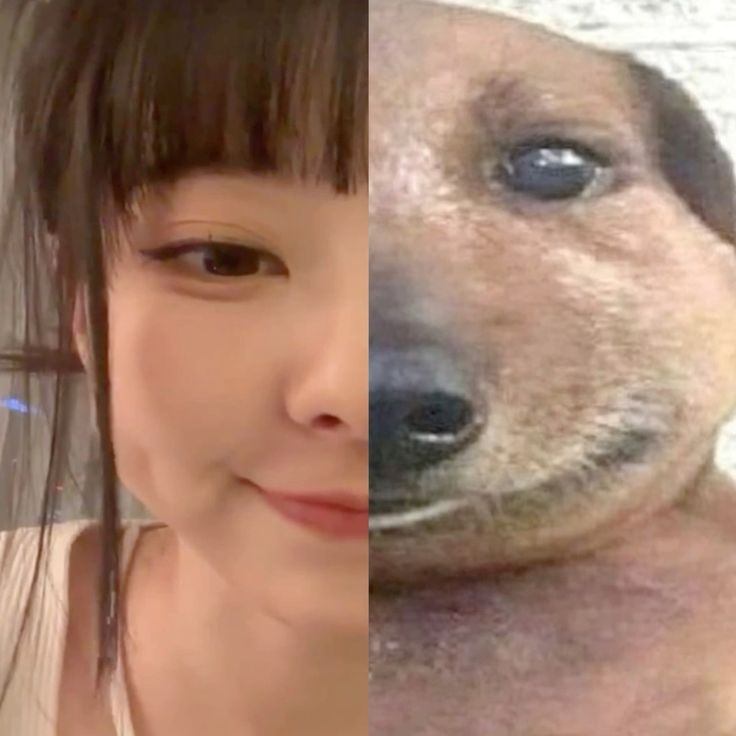 igotthatdawginme.jpg