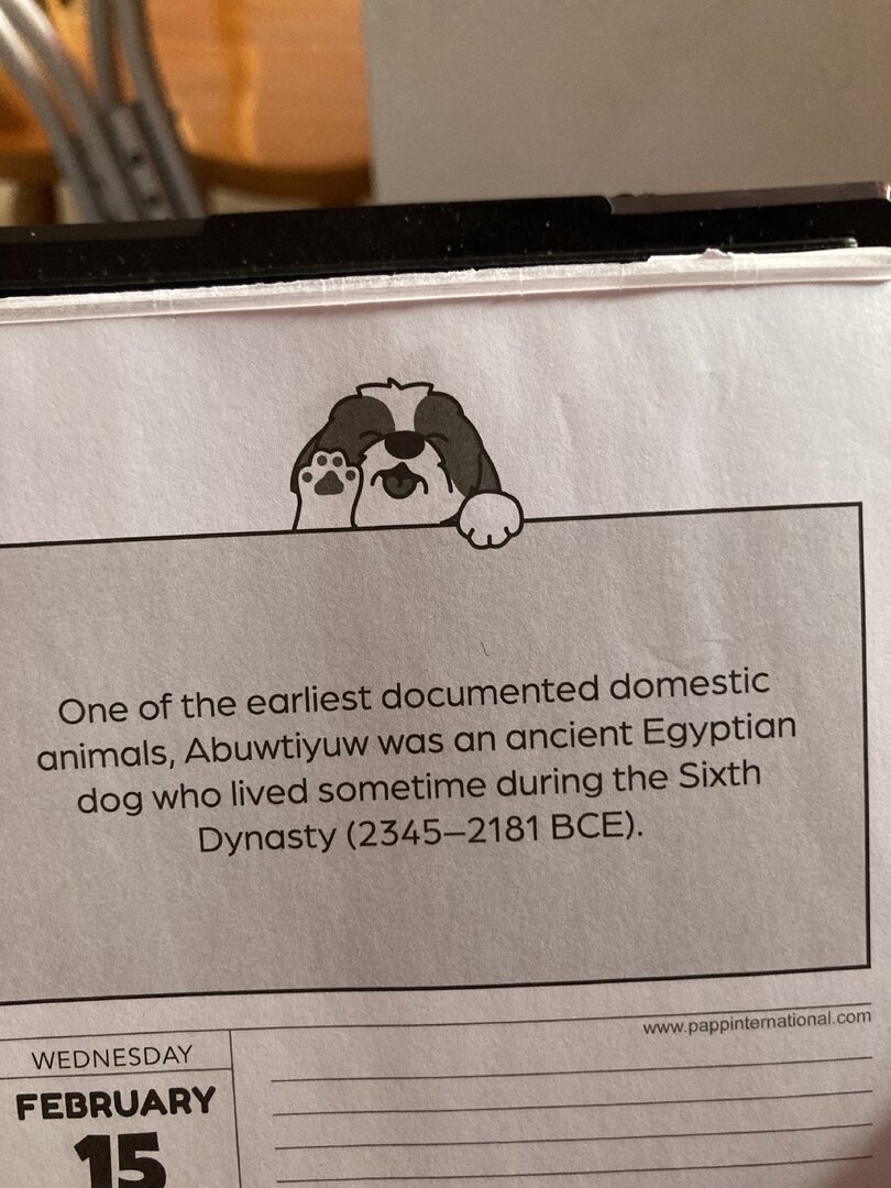 image.jpg