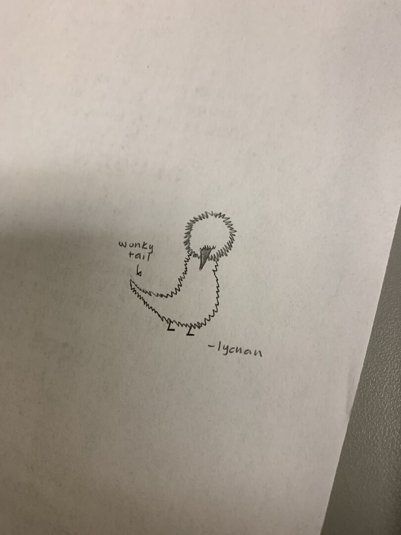 image.jpg