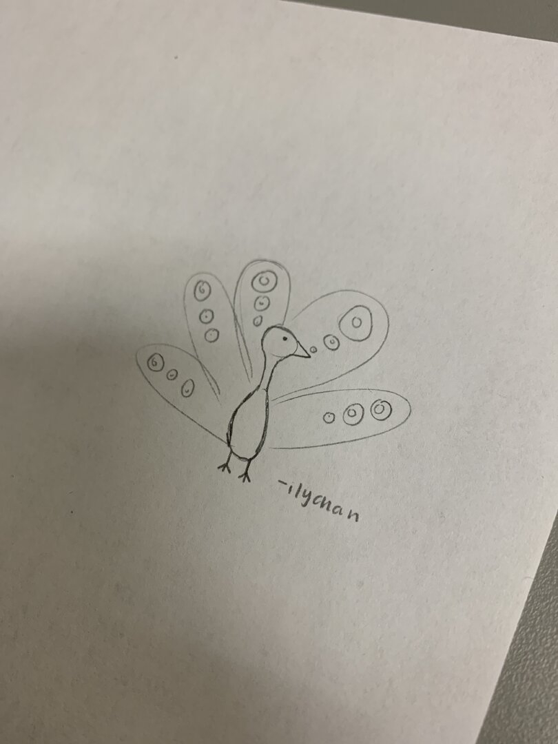 image.jpg