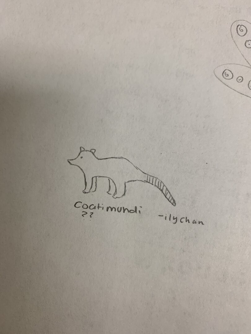 image.jpg
