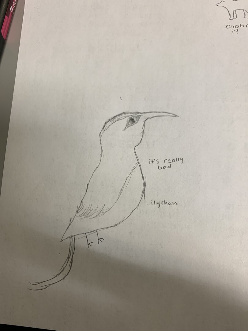 image.jpg
