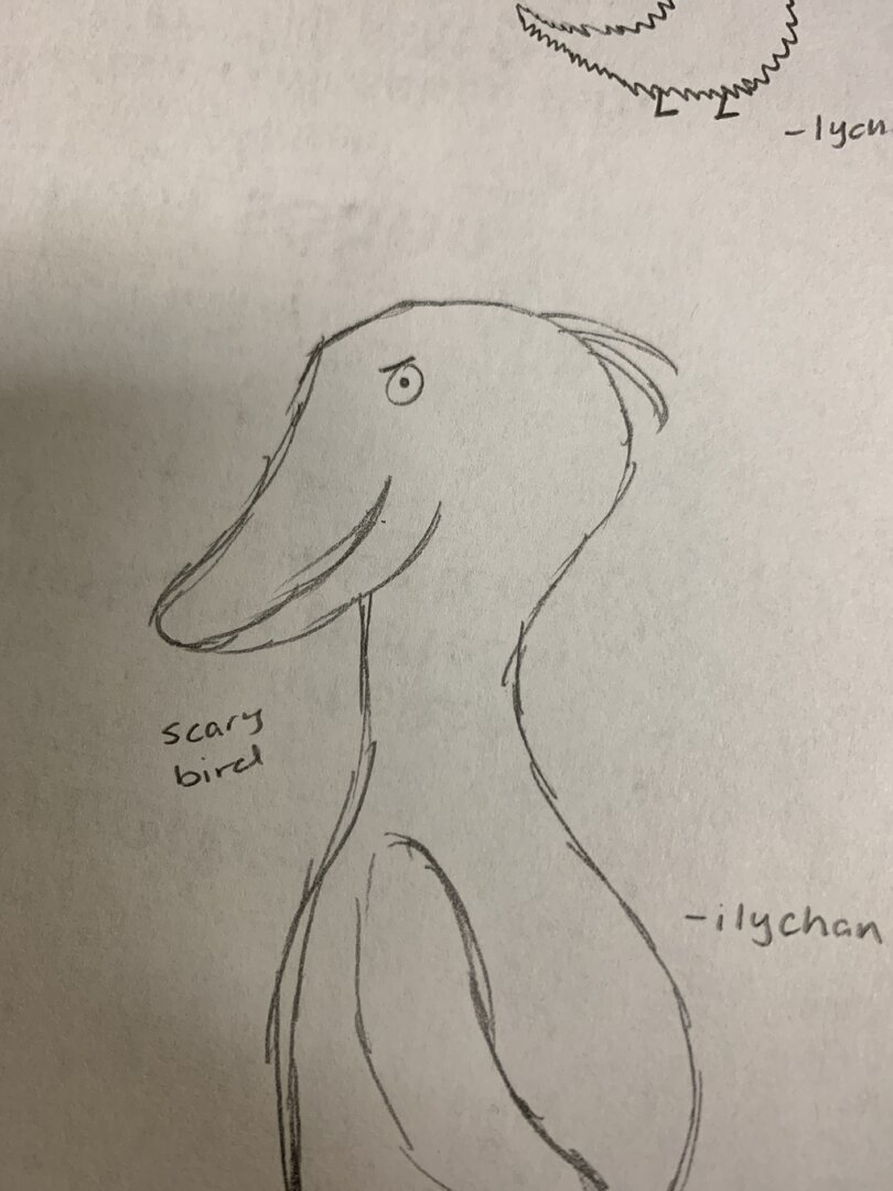 image.jpg