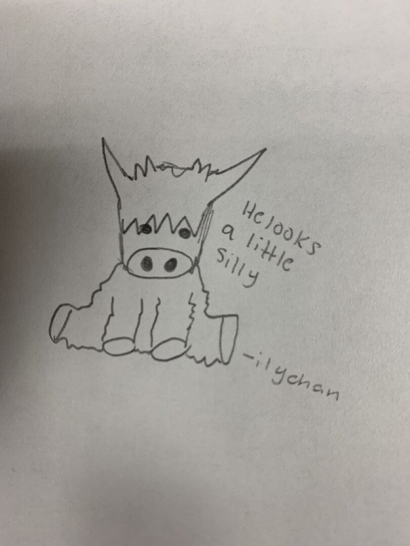 image.jpg