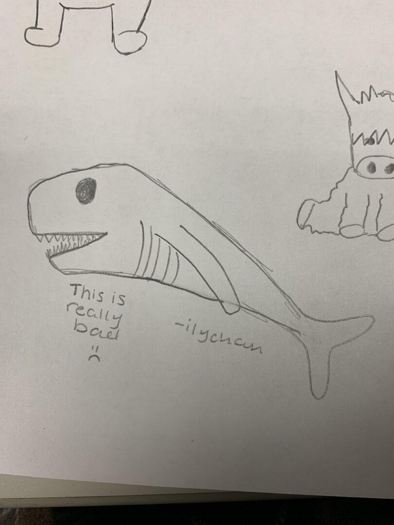 image.jpg