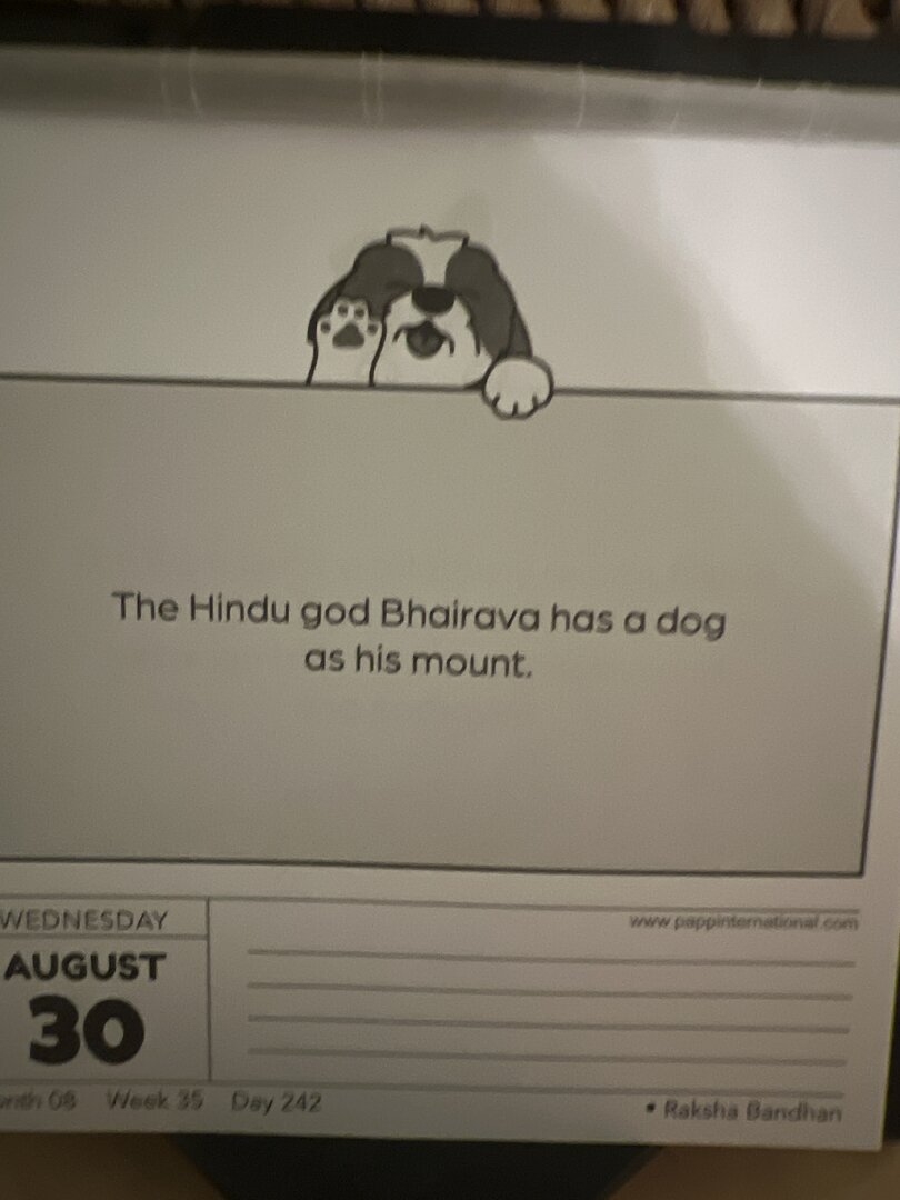 image.jpg