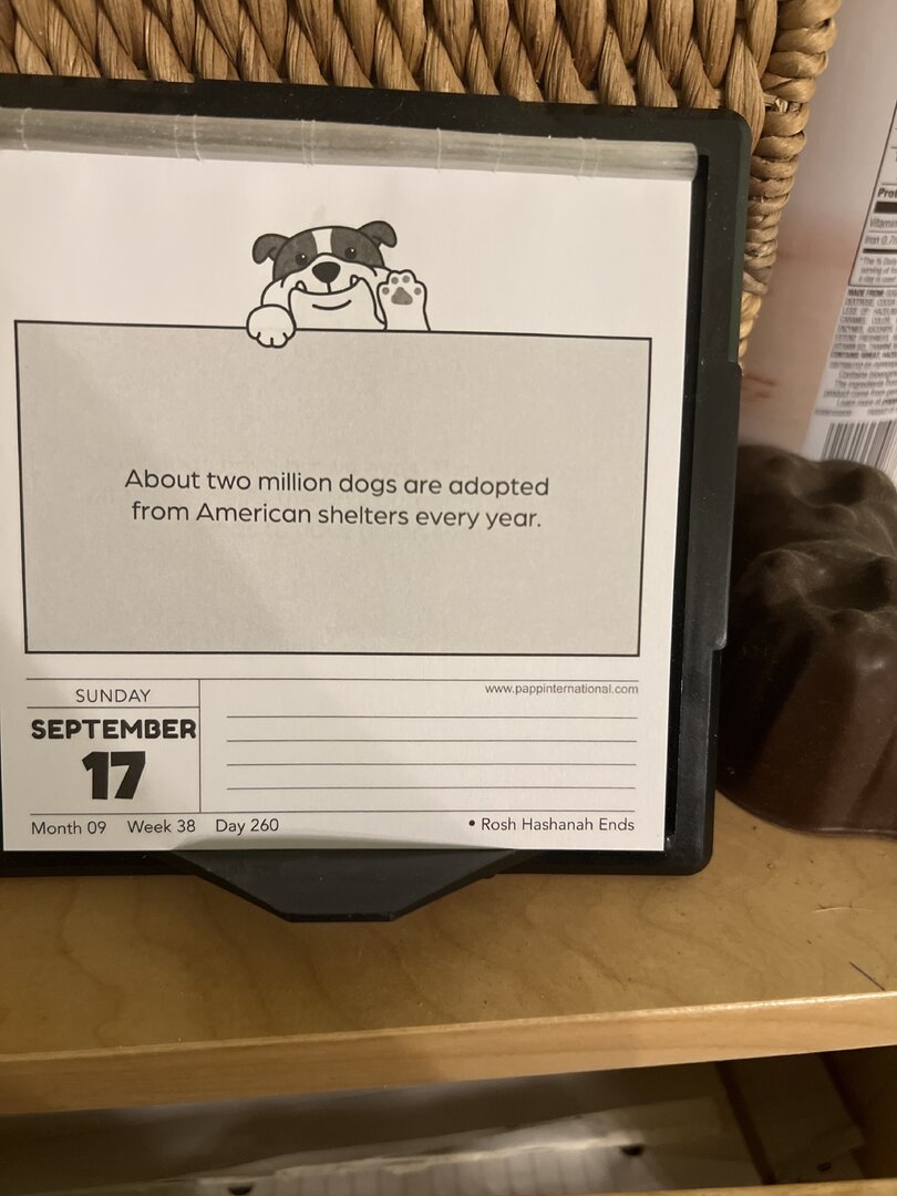 image.jpg