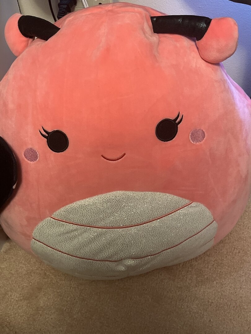 image.jpg