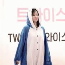 12313