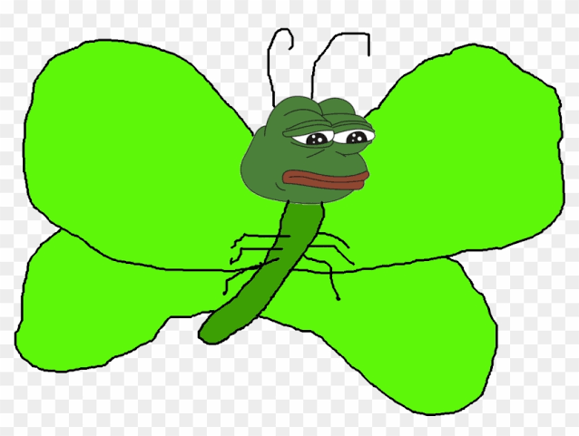 images (19).png