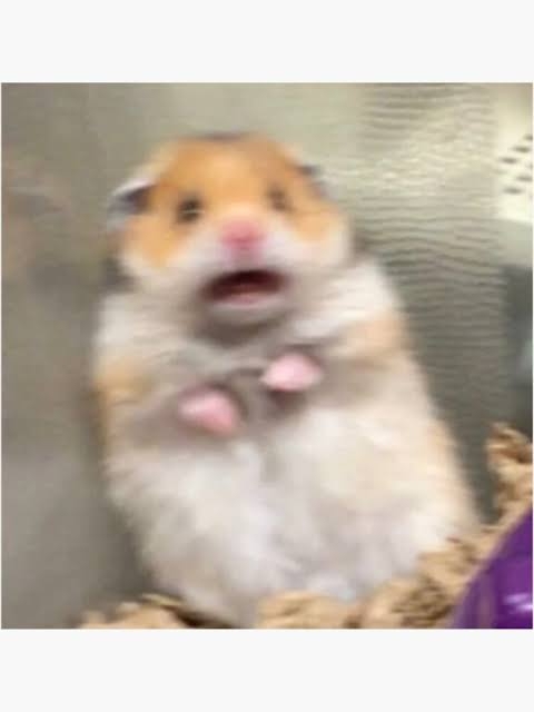 images (21).jpeg