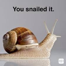 images snail.jpg