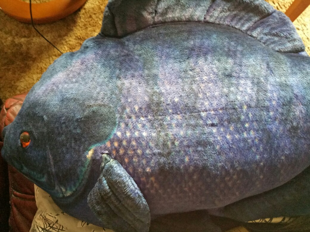 IMG20200920093424.jpg