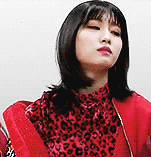 IMG_0071.gif