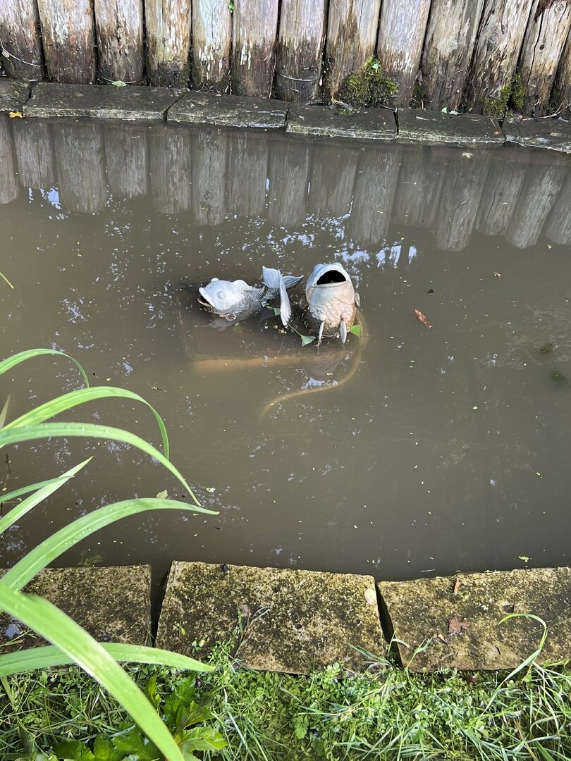 IMG_0083.jpeg