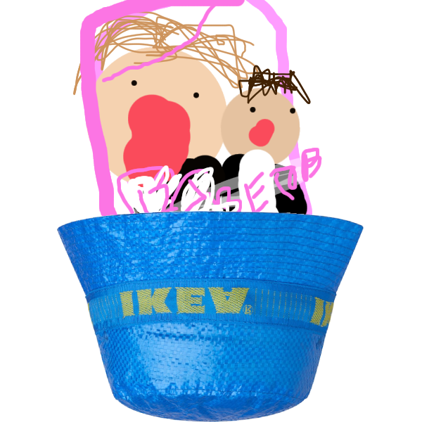 IMG_0244.png