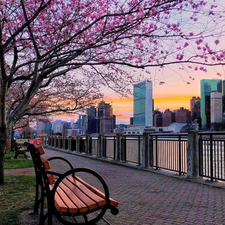 IMG_0325.jpeg