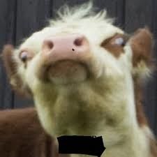 14111