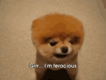 IMG_0519.gif