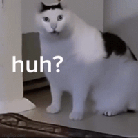 IMG_0688.gif