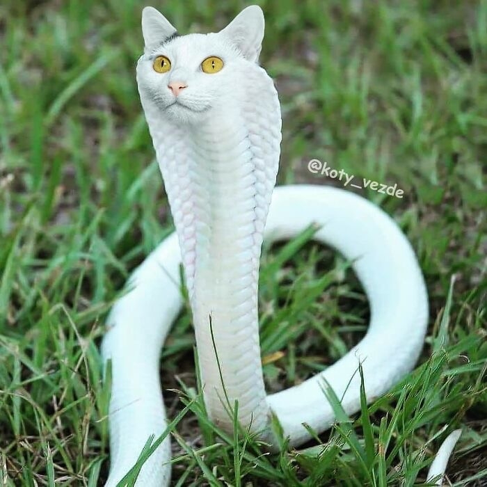 IMG_0780.jpeg
