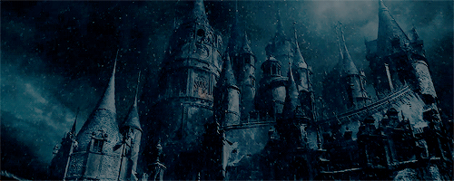 IMG_0951.gif