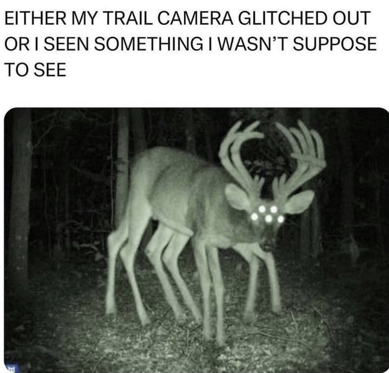 IMG_1153.png