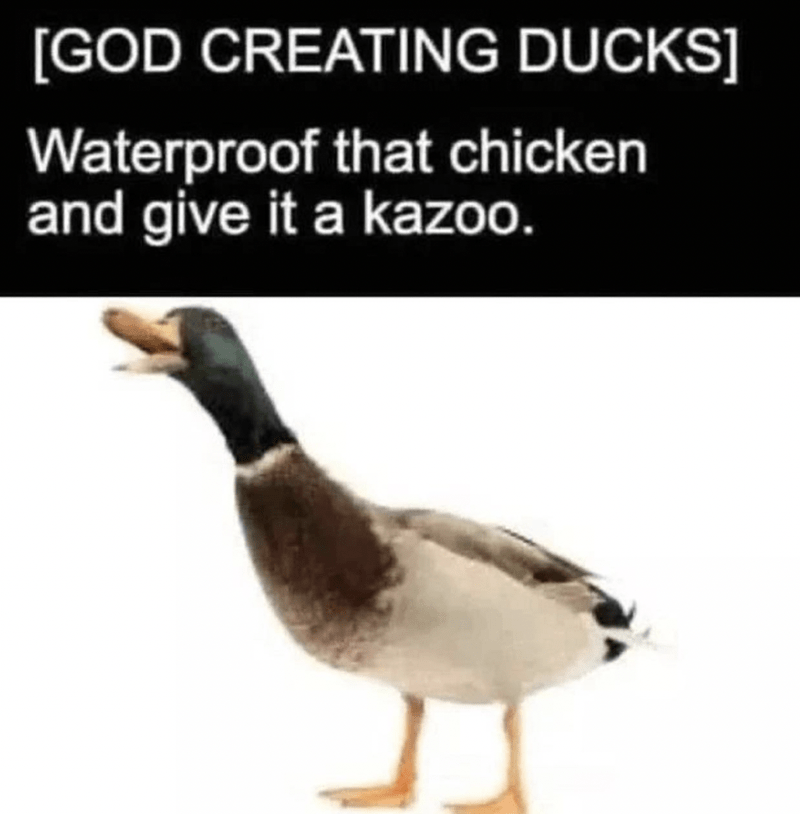 IMG_1164.png