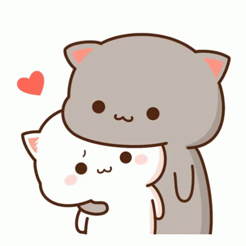 IMG_1428.gif