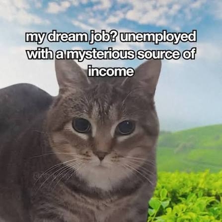 IMG_1531.jpeg