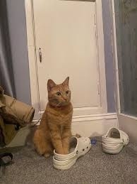 IMG_1587.jpeg