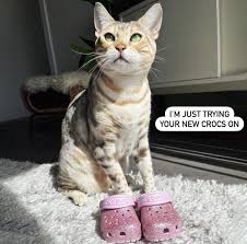 IMG_1589.jpeg