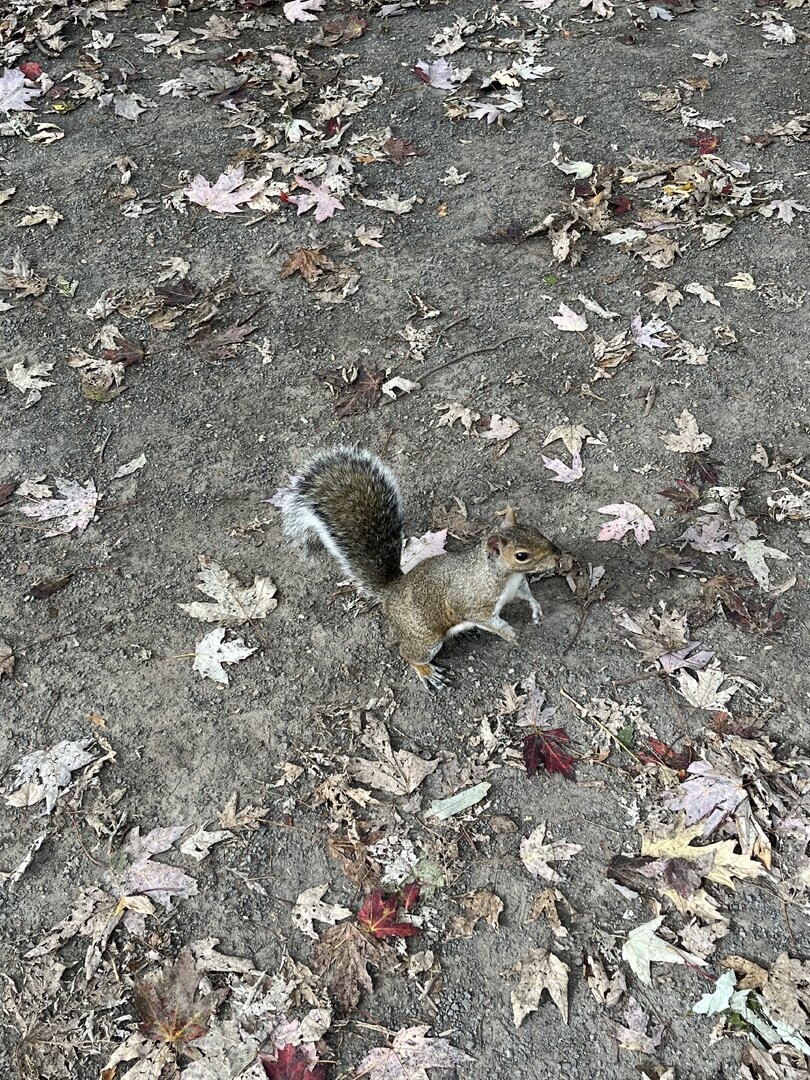 IMG_1905.jpeg