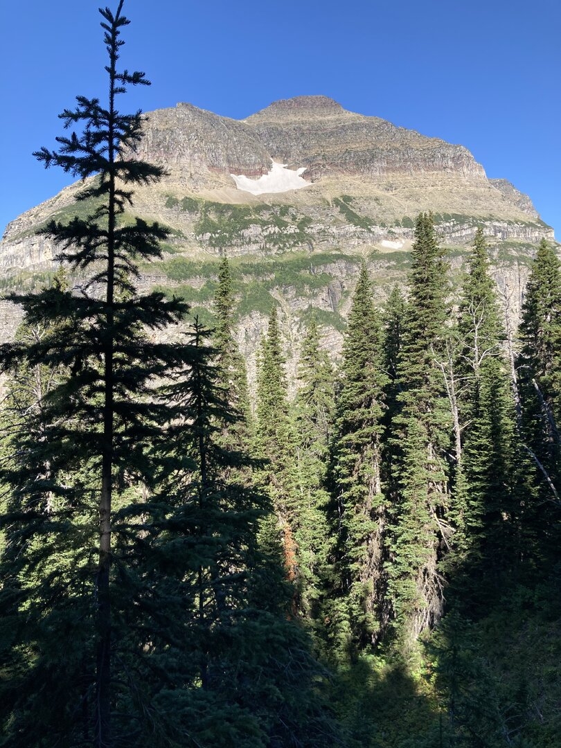 IMG_1954.jpeg